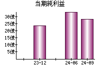 当期純利益