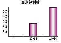 当期純利益