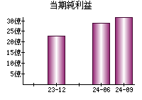 当期純利益