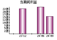 当期純利益