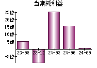 当期純利益