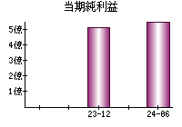 当期純利益