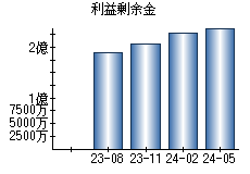 利益剰余金