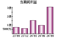 当期純利益