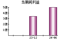 当期純利益