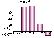 当期純利益