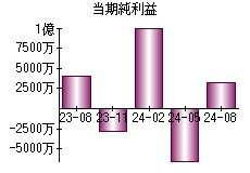 当期純利益