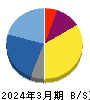 ＮＡＮＯ　ＭＲＮＡ 貸借対照表 2024年3月期