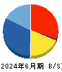 シンデン・ハイテックス 貸借対照表 2024年6月期