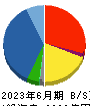 ダイワボウホールディングス 貸借対照表 2023年6月期