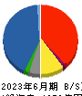 大木ヘルスケアホールディングス 貸借対照表 2023年6月期