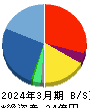 ＧＭＯ　ＴＥＣＨ 貸借対照表 2024年3月期