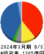 大木ヘルスケアホールディングス 貸借対照表 2024年3月期