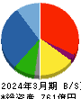 ジオリーブグループ 貸借対照表 2024年3月期