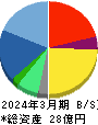 ディ・アイ・システム 貸借対照表 2024年3月期