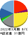 ＳＩＧグループ 貸借対照表 2022年3月期