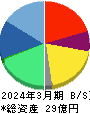 ヒューマンクリエイションホールディングス 貸借対照表 2024年3月期