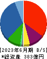 ｎｍｓホールディングス 貸借対照表 2023年6月期