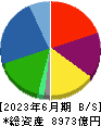 ＮＴＮ 貸借対照表 2023年6月期