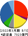 東邦ホールディングス 貸借対照表 2022年3月期