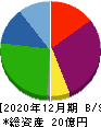 Ｔ．Ｓ．Ｉ 貸借対照表 2020年12月期