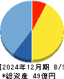 シンバイオ製薬 貸借対照表 2024年12月期 シンバイオ製薬 貸借対照表 2024年12月期