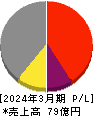 チタン工業 損益計算書 2024年3月期