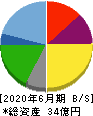 ＮＡＴＴＹ　ＳＷＡＮＫＹホールディングス 貸借対照表 2020年6月期