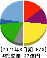 ＮＡＴＴＹ　ＳＷＡＮＫＹホールディングス 貸借対照表 2021年6月期