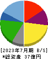 ＮＡＴＴＹ　ＳＷＡＮＫＹホールディングス 貸借対照表 2023年7月期