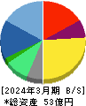 バルテス・ホールディングス 貸借対照表 2024年3月期