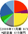 サンエー・インターナショナル 貸借対照表 2009年11月期