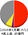 日本グランデ 損益計算書 2020年3月期