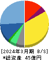 アズーム 貸借対照表 2024年3月期