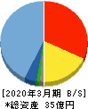 ステムセル研究所 貸借対照表 2020年3月期