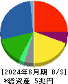 出光興産 貸借対照表 2024年6月期