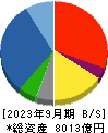 東邦ホールディングス 貸借対照表 2023年9月期