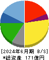 力の源ホールディングス 貸借対照表 2024年6月期 力の源ホールディングス 貸借対照表 2024年6月期