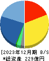 Ｉ－ｎｅ 貸借対照表 2023年12月期