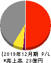 Ｔ．Ｓ．Ｉ 損益計算書 2019年12月期