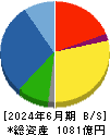 フォスター電機 貸借対照表 2024年6月期