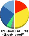 ＧＭＯリサーチ＆ＡＩ 貸借対照表 2024年3月期