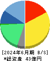 セルム 貸借対照表 2024年6月期