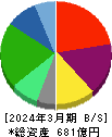 メディカルシステムネットワーク 貸借対照表 2024年3月期