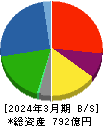 綿半ホールディングス 貸借対照表 2024年3月期