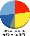 テックファームホールディングス 貸借対照表 2024年3月期