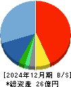 THECOO 貸借対照表 2024年12月期 THECOO 貸借対照表 2024年12月期