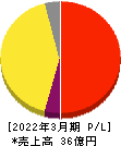 ブロードマインド 損益計算書 2022年3月期