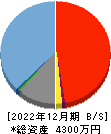 ビート・ホールディングス・リミテッド 貸借対照表 2022年12月期