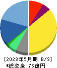 テクミラホールディングス 貸借対照表 2023年5月期